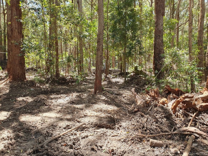 1922 Springbrook Road, Springbrook QLD 4213