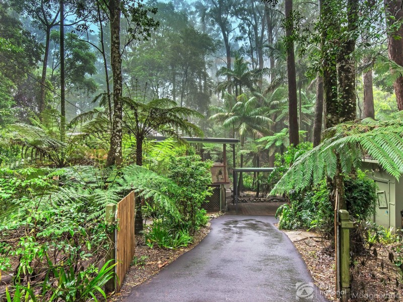 4 Wattle Grove, Springbrook QLD 4213