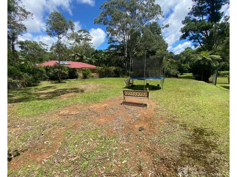 2281 Springbrook Road, Springbrook QLD 4213