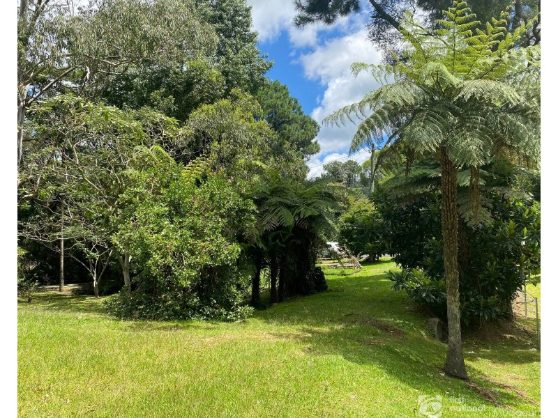 2281 Springbrook Road, Springbrook QLD 4213