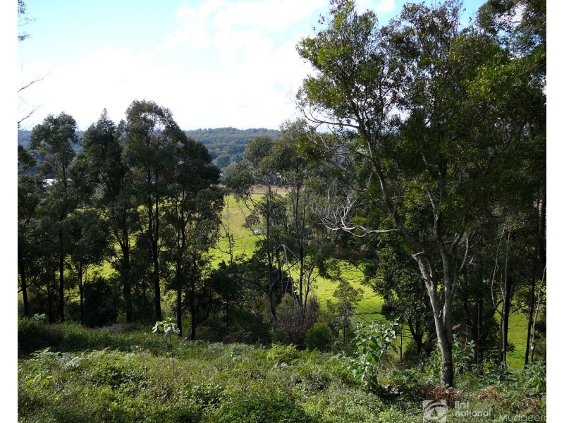 85 Lyrebird Ridge Road, Springbrook QLD 4213