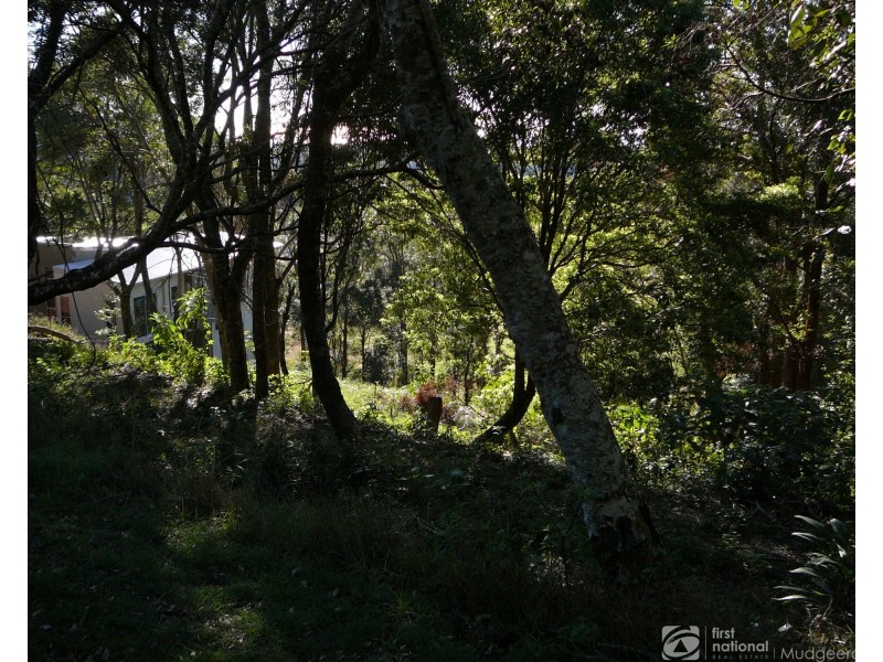 85 Lyrebird Ridge Road, Springbrook QLD 4213