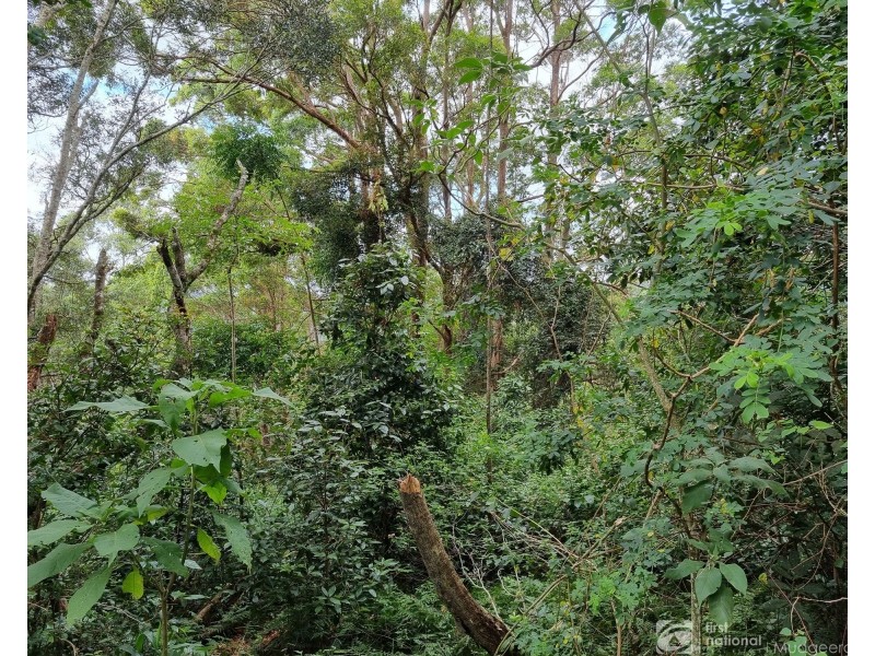 85 Lyrebird Ridge Road, Springbrook QLD 4213