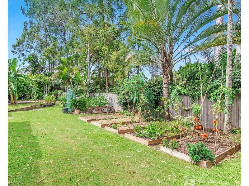 3 Cape Court, Tallai QLD 4213