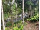 23 Lloyds Road, Springbrook QLD 4213