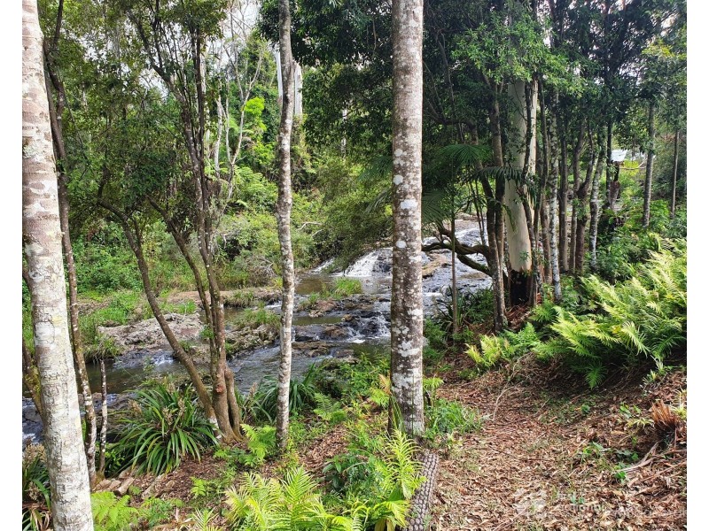 23 Lloyds Road, Springbrook QLD 4213