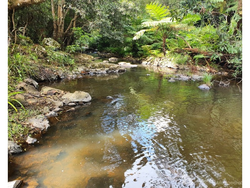 23 Lloyds Road, Springbrook QLD 4213