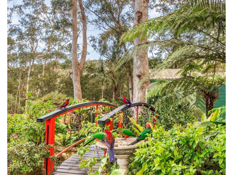 3-5 Boy-Ull Road, Springbrook QLD 4213
