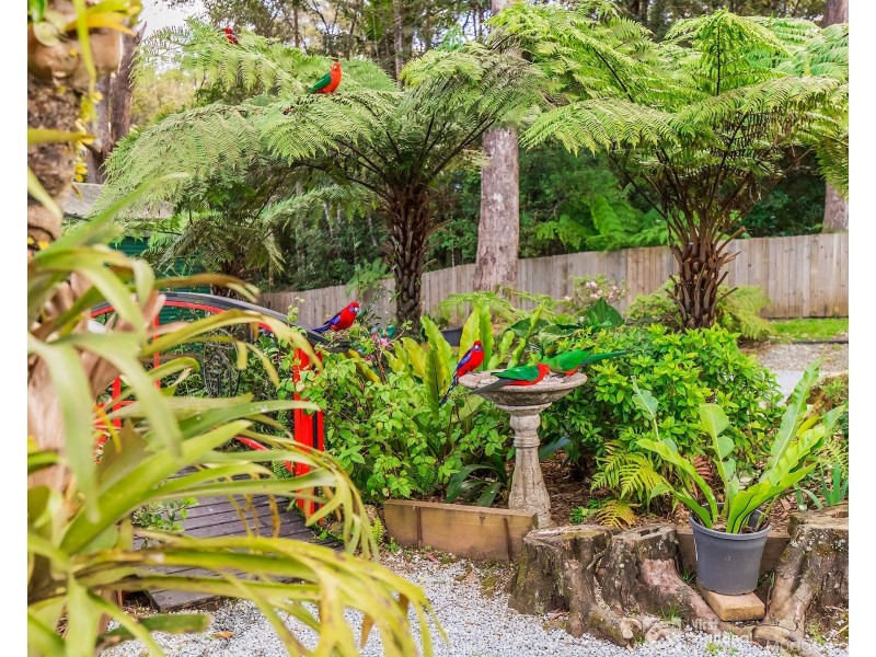 3-5 Boy-Ull Road, Springbrook QLD 4213