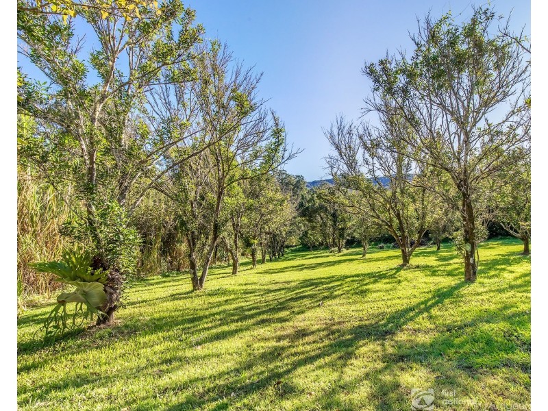 1 Tarrant Drive, Mudgeeraba QLD 4213