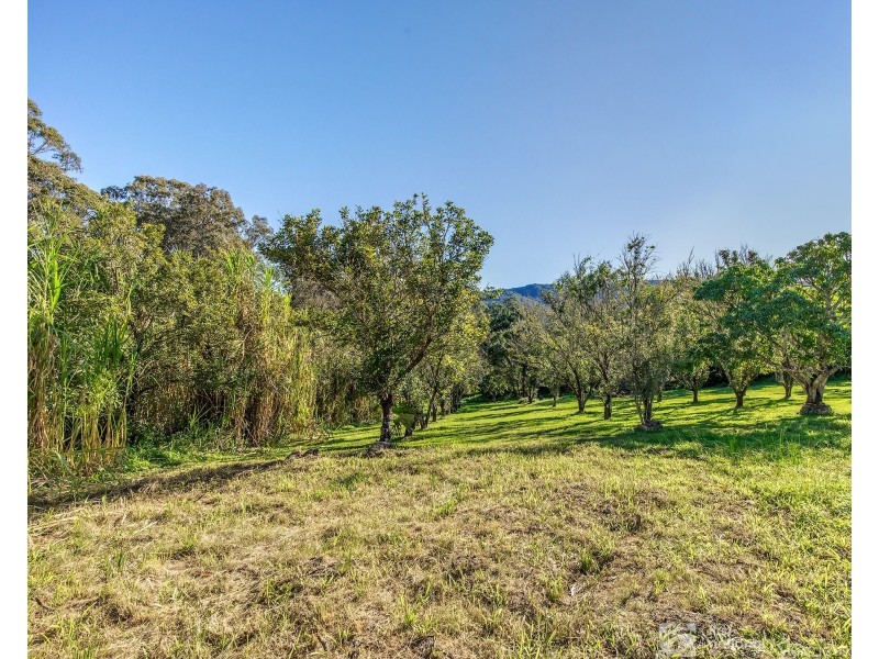 1 Tarrant Drive, Mudgeeraba QLD 4213