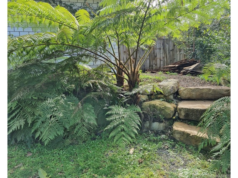 12 Lloyds Road, Springbrook QLD 4213
