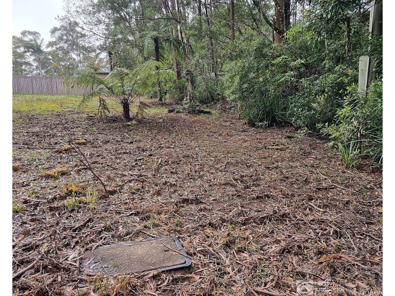 13 Banksia Road, Springbrook QLD 4213