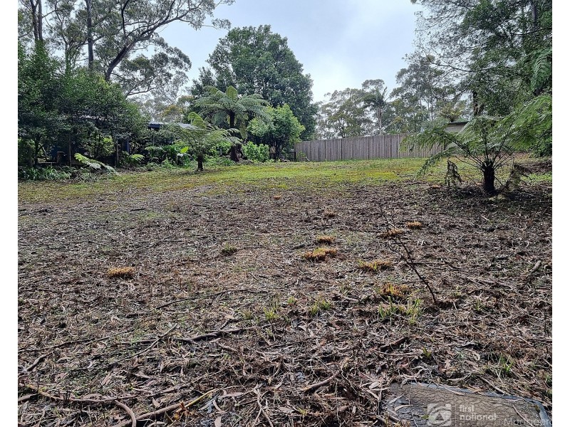 13 Banksia Road, Springbrook QLD 4213