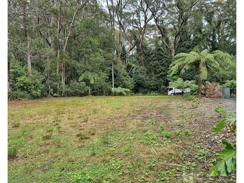 13 Banksia Road, Springbrook QLD 4213