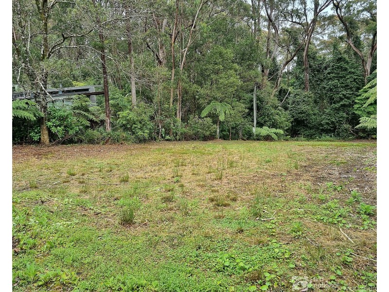 13 Banksia Road, Springbrook QLD 4213