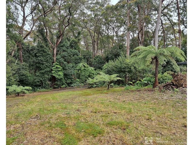 13 Banksia Road, Springbrook QLD 4213