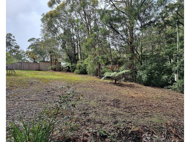 13 Banksia Road, Springbrook QLD 4213