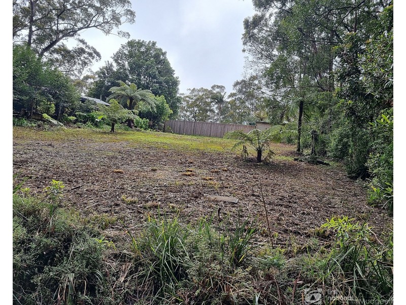 13 Banksia Road, Springbrook QLD 4213