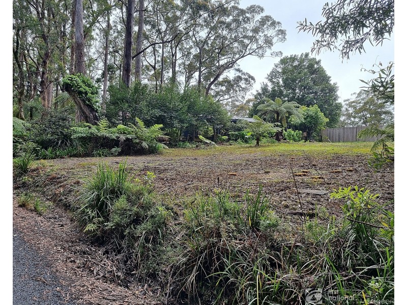 13 Banksia Road, Springbrook QLD 4213