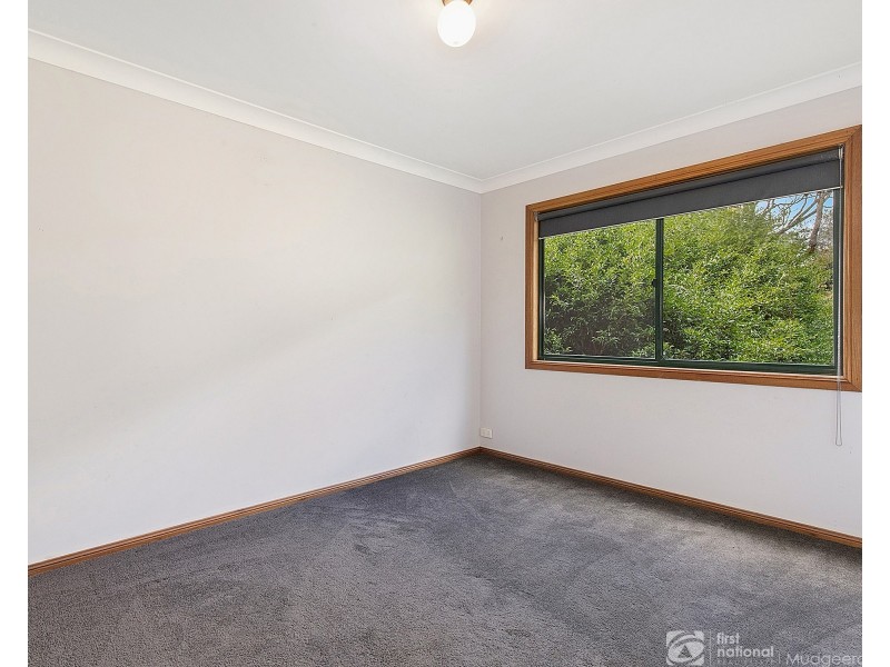 106 Repeater Station Road, Springbrook QLD 4213
