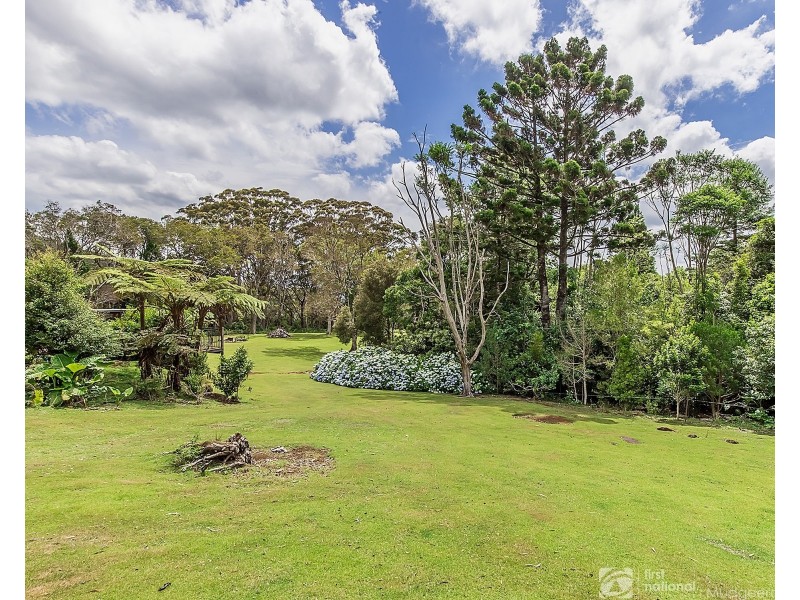106 Repeater Station Road, Springbrook QLD 4213