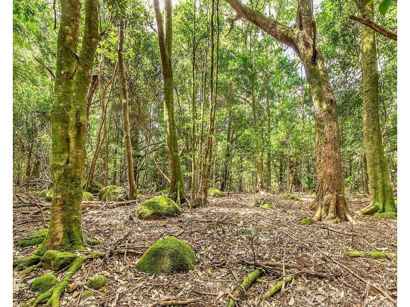106 Repeater Station Road, Springbrook QLD 4213