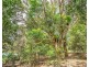 106 Repeater Station Road, Springbrook QLD 4213