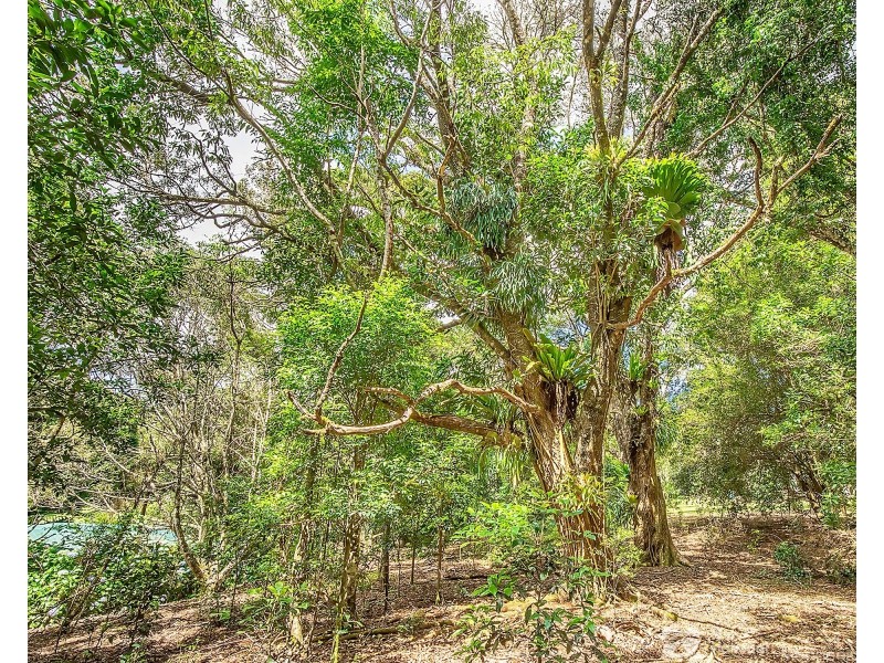 106 Repeater Station Road, Springbrook QLD 4213