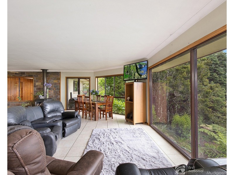 14 Bandicoot Lane, Springbrook QLD 4213