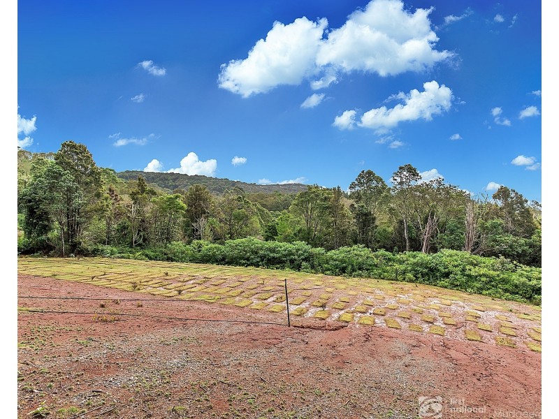 14 Bandicoot Lane, Springbrook QLD 4213