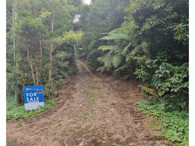 299 Repeater Station Road, Springbrook QLD 4213