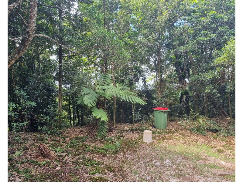 299 Repeater Station Road, Springbrook QLD 4213