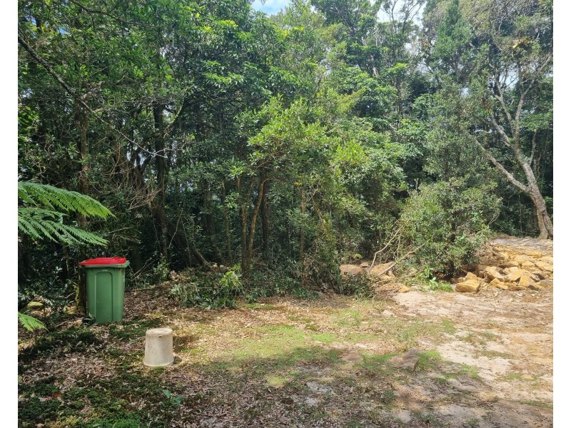 299 Repeater Station Road, Springbrook QLD 4213