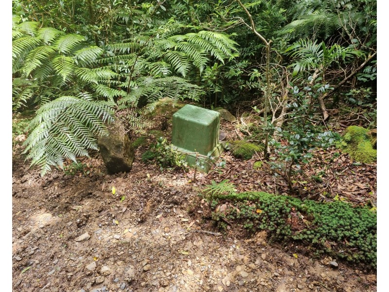 299 Repeater Station Road, Springbrook QLD 4213