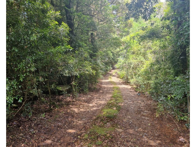 299 Repeater Station Road, Springbrook QLD 4213