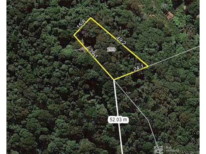 299 Repeater Station Road, Springbrook QLD 4213