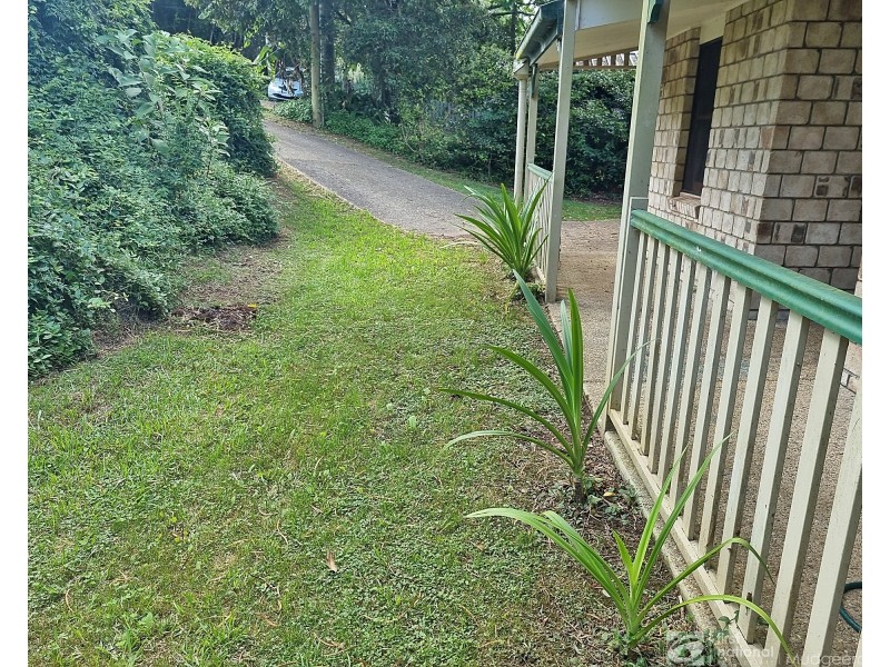 2297 Springbrook Road, Springbrook QLD 4213