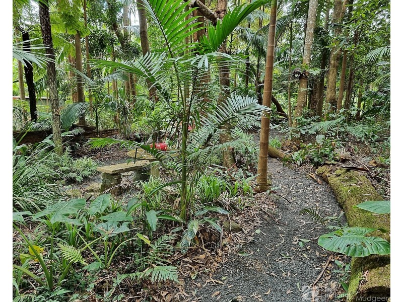43 Gwongorella Parade, Springbrook QLD 4213
