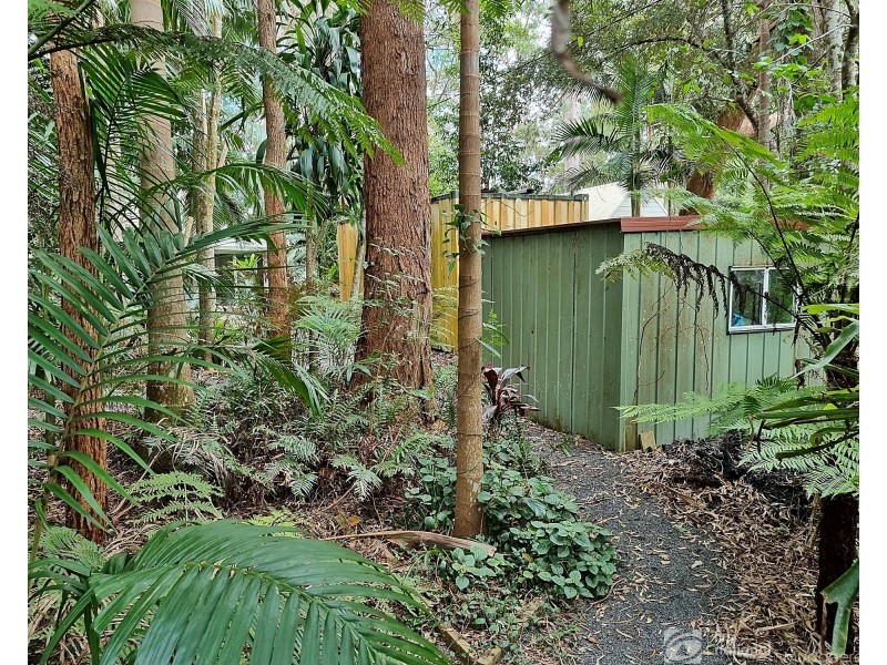 43 Gwongorella Parade, Springbrook QLD 4213