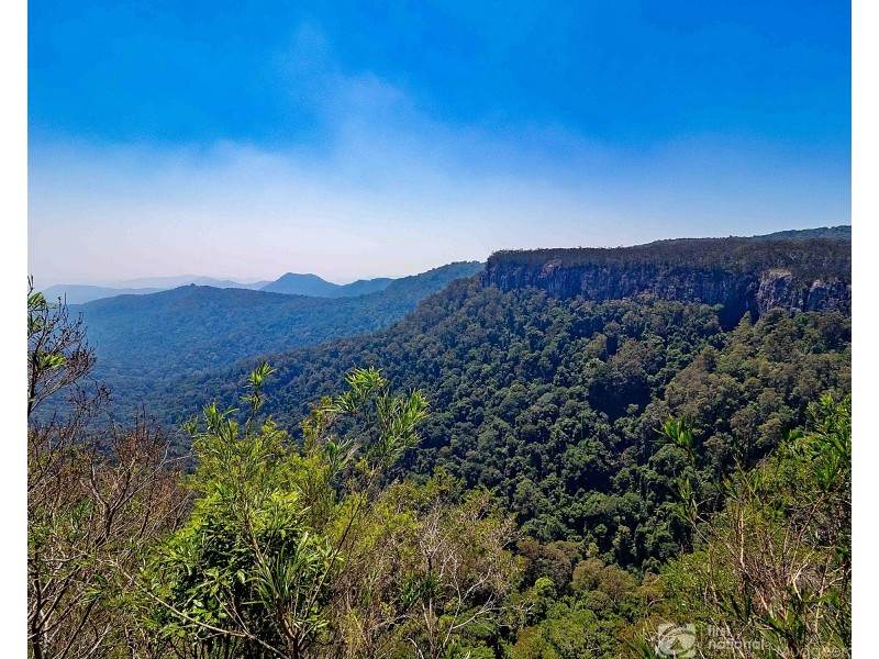 43 Gwongorella Parade, Springbrook QLD 4213
