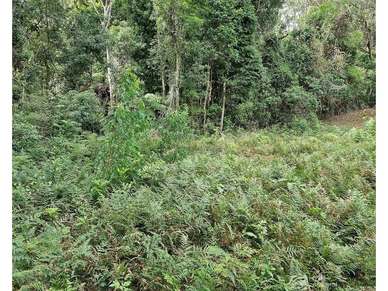 8 Mundora Road, Springbrook QLD 4213