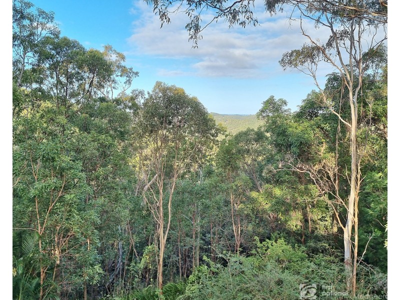 59 Saunders Drive, Bonogin QLD 4213