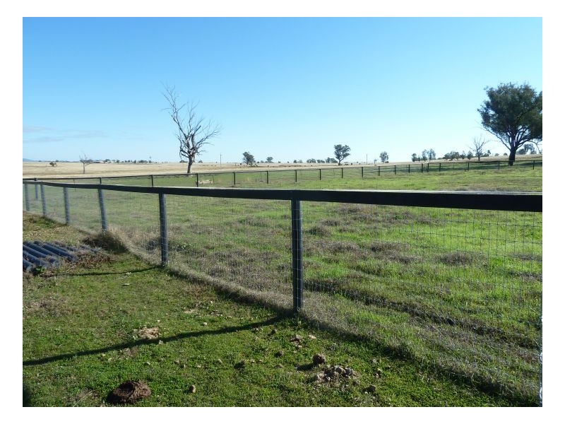 Oxley Lane, Westdale NSW 2340