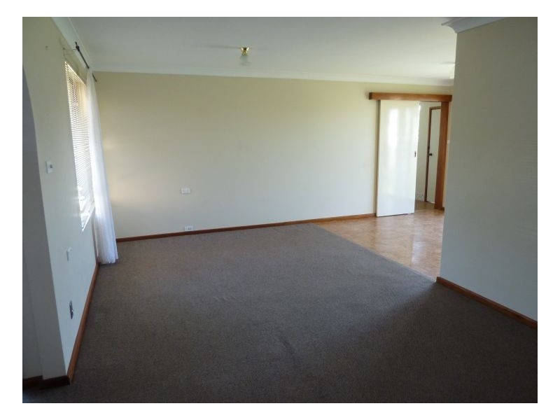 38 Evans Street, Westdale NSW 2340