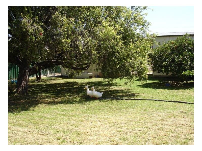 4 Pine St, Kootingal NSW 2352