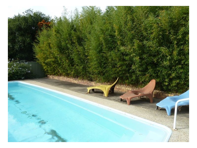 11 Minimurra Crescent, Tamworth NSW 2340