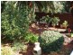 37 Dowell Avenue, Tamworth NSW 2340