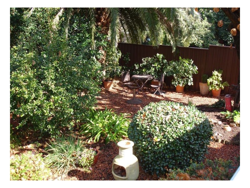 37 Dowell Avenue, Tamworth NSW 2340