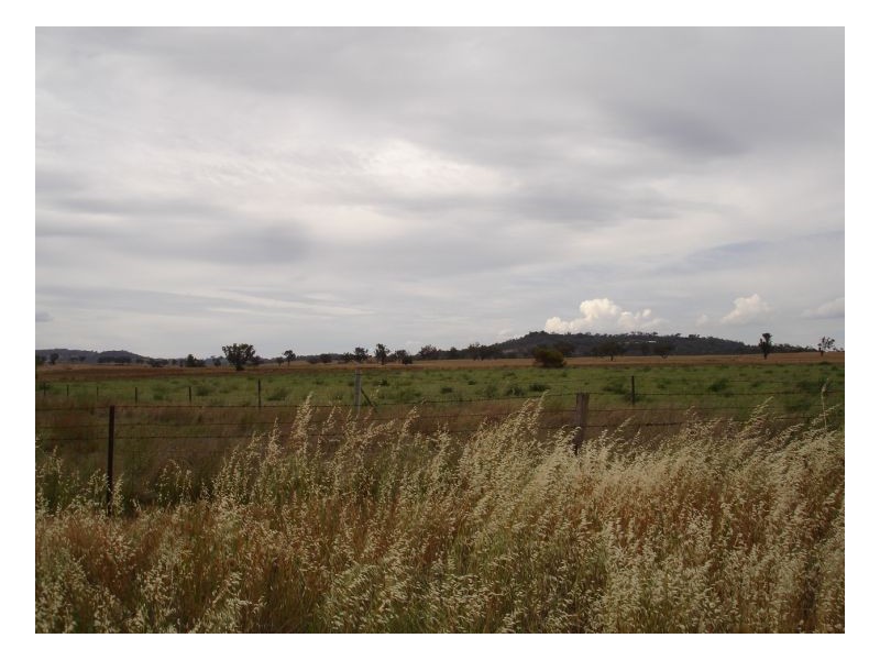 344 Top Somerton Road, Attunga NSW 2345